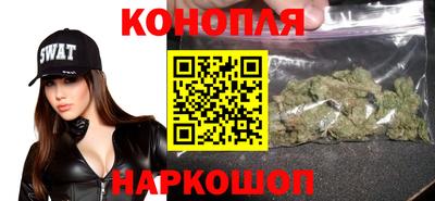 ALPHA PVP Гатчина