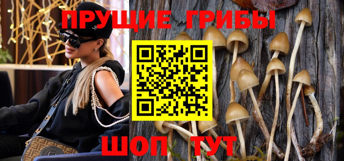 Псилоцибиновые грибы прущие грибы Пугачёв